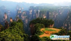 ȫ(gu)ׄ(chung)ɭηؚ(zhn)(lin) 2016ҽ(gu)Hɭֱo(h)(ji)_(ki)Ļ
